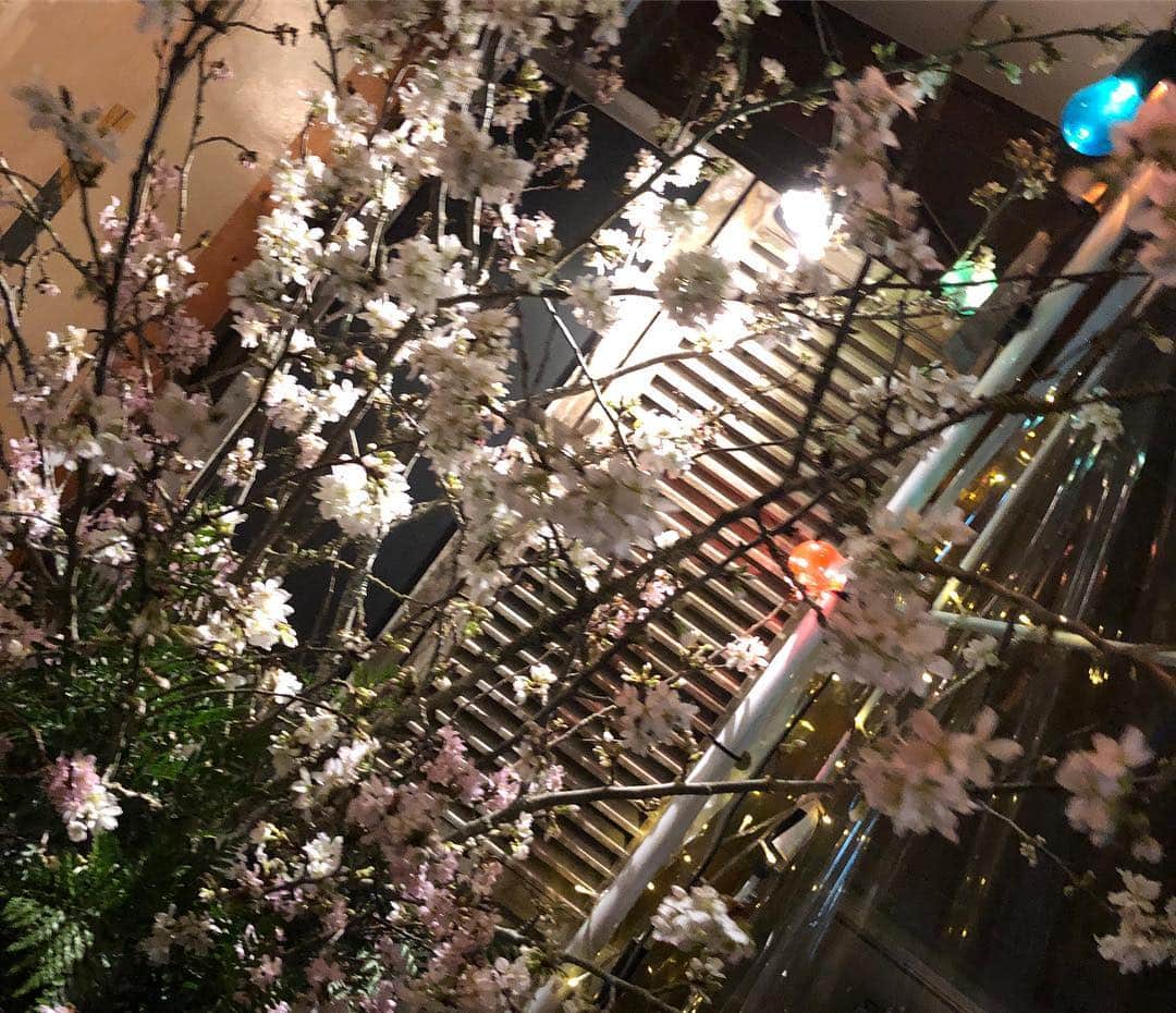 中川愛海さんのインスタグラム写真 - (中川愛海Instagram)「日曜日は昼から同じ年だけの花見バーベキュー🌸 3人しか集まらずでしたが途中からはまらいんのあこちゃんとお店スタッフ可愛い子ちゃんが参加❤️ 何だかんだ同じ年仲良し仲間！ 楽しかった！ @ami_nakagawa_  #お花見 #中川愛海 #一日一回カンパイ」4月1日 15時56分 - ami_nakagawa_