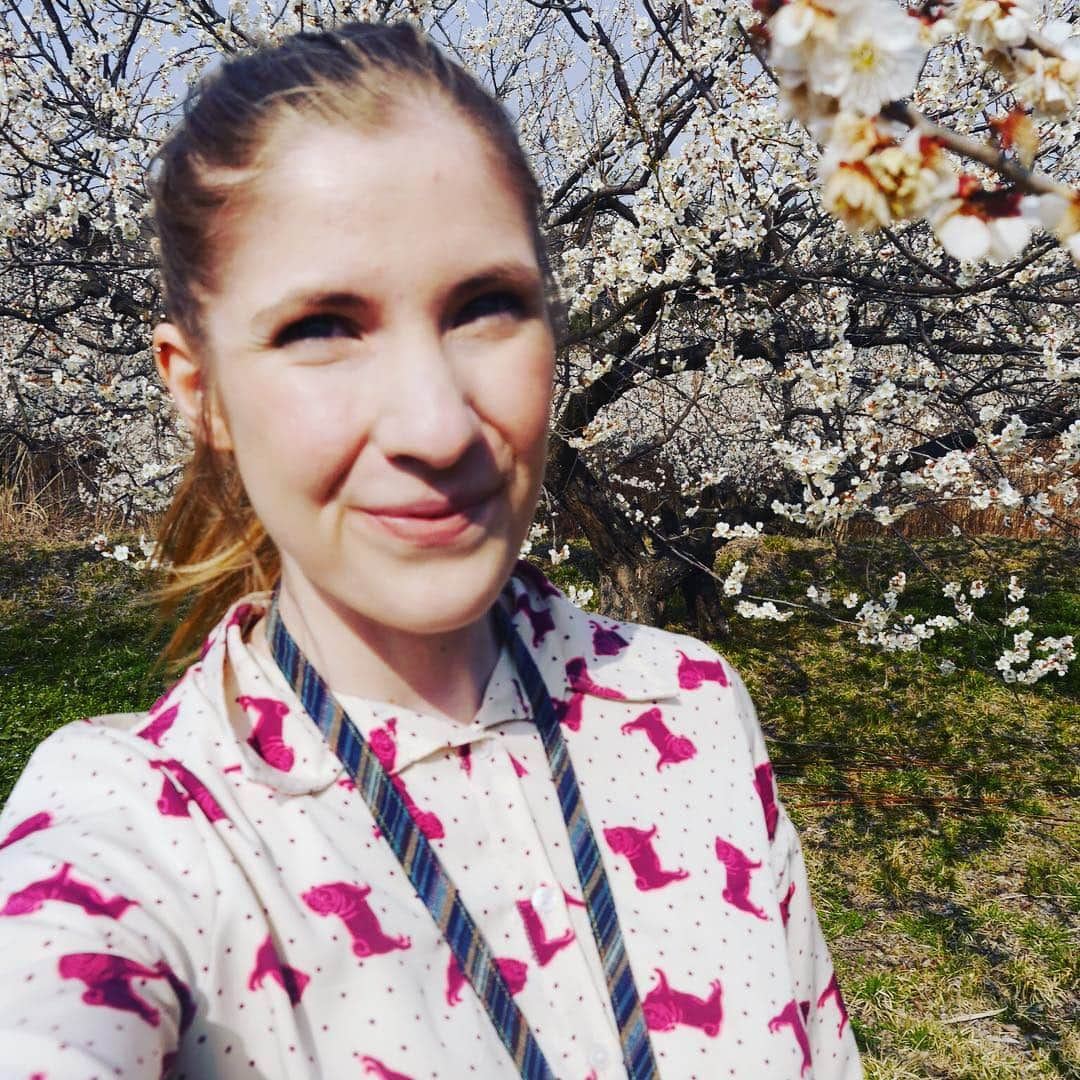 Rediscover Fukushimaさんのインスタグラム写真 - (Rediscover FukushimaInstagram)「Plum blossom 🌸 photos taken last Wednesday in Koriyama, but don’t worry - we still have a couple of weeks before the plum blossom looks stunning at Fukushima City’s Hanamoto no Sato near Iizaka Onsen」4月1日 15時51分 - rediscoverfukushima