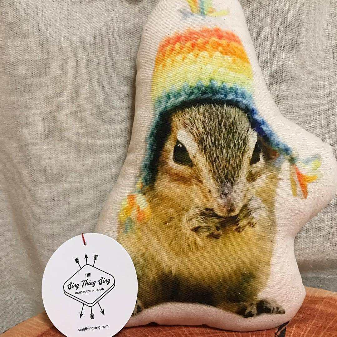 peace_0322さんのインスタグラム写真 - (peace_0322Instagram)「#リス#シマリス#ふわもこ部 🐿僕がモデルさんになった @sing_thing_sing さんからオリジナルポーチとオリジナルアイシングクッキーが新登場😆 LINE又はメールで写真を送るだけでできます オリジナルクッションとプローチも作れます😆  モデルに選んでいただき、昨日🎁素敵なポーチ・クッキー・クッション・プローチが届きました ありがとうございました😊  ピース君の思い出の品となりました😆 #singthingsing さん本当にありがとうございました😭 大切にします✨」4月1日 16時02分 - peace_0322