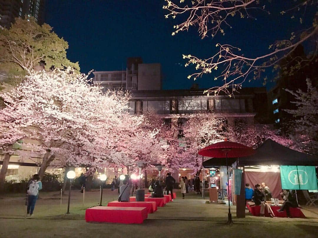 ボートレース宮島さんのインスタグラム写真 - (ボートレース宮島Instagram)「. 🌸広島市 縮景園の桜🌸 . 廿日市市や広島市では、桜が見ごろを迎えています😊 既にお花見を楽しんだ方も多いのではないかと思います🎶 . 広島市にある縮景園では、4月4日(木)まで、夜桜ライトアップを開催しています✨ ライトアップされた美しい桜や梅の花を楽しめるので、おすすめですよ🌸 . . #ボートレース宮島 #宮島競艇場 #宮島競艇 #パルボート宮島 #モンタ #モミジ #ボートレース #boatrace #競艇 #競艇場 #ボートレースな日々 #ボレジョ #縮景園 #桜 #梅 #お花見 #夜桜 #満開 #ソメイヨシノ #sakura #CHERRYBLOSSOM」4月1日 16時00分 - boatrace_miyajima