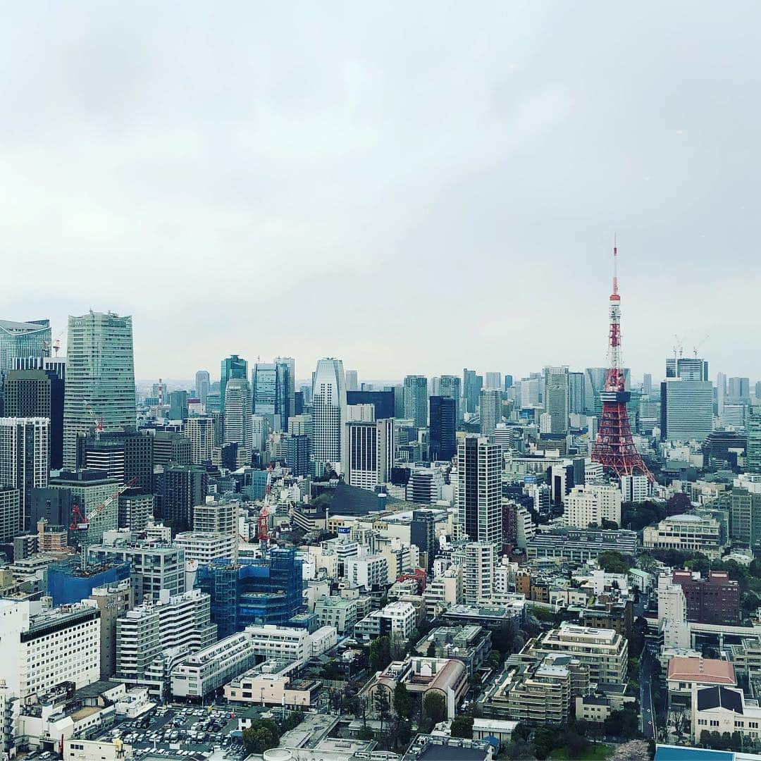 野宮真貴さんのインスタグラム写真 - (野宮真貴Instagram)「「令和」 いい時代になりますように… #令和 #🗼 #野宮真貴 #missmakinomiya」4月1日 16時24分 - missmakinomiya