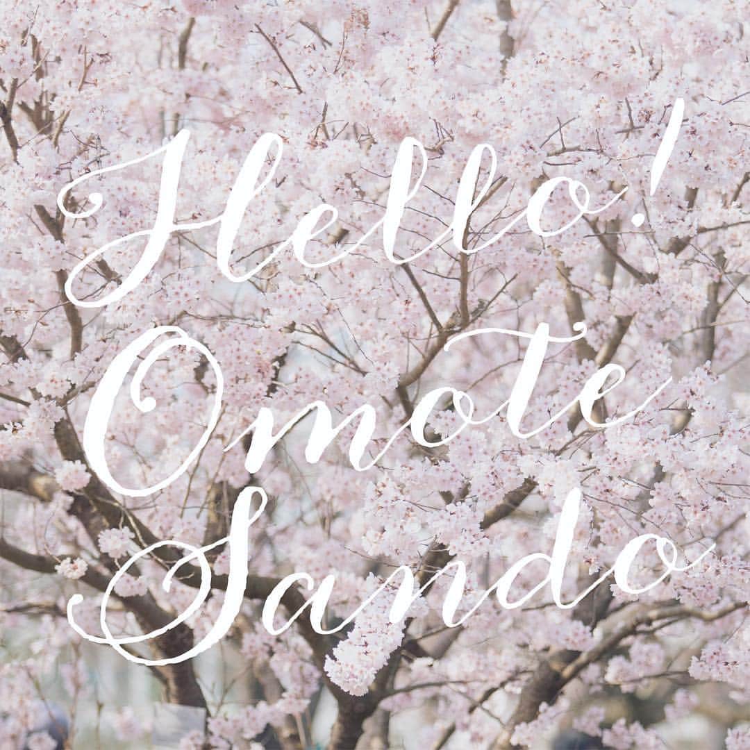 CLAIREのインスタグラム：「2019年4月下旬に南青山店が表参道サロンとして生まれ変わります。 ・ 表参道から徒歩2分の好立地な場所に移転すると同時に、お二人の願いが叶う写真が残せるよう、全店初のブライダル専門サロンが誕生。 ・ ロケーション撮影、スタジオ撮影とじっくりとご相談頂ける空間です。 ・ オープン記念特典情報も順次解禁となりますのでどうぞお楽しみに。 ・ スタッフ一同皆様のお越しをお待ちしております。 ・ @claire.minamiaoyama  @clairebridalstudio」