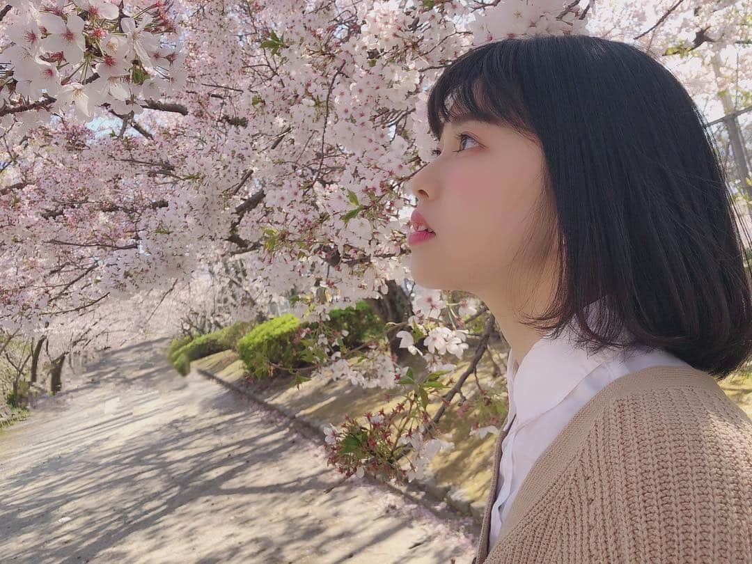 地頭江 音々さんのインスタグラム写真 - (地頭江 音々Instagram)「･ ･ ･ 🌸 ･ ･ #桜 #さくら #cherryblossom  #お花見 #大濠公園 #舞鶴公園」4月1日 17時19分 - jitoe_nene