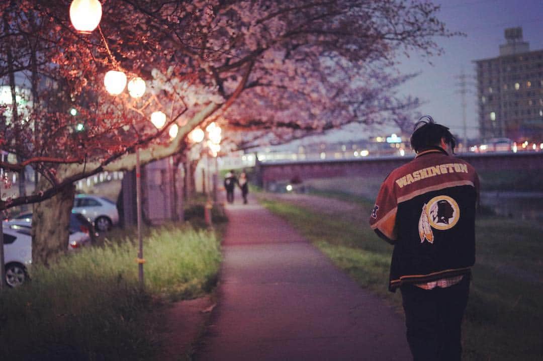 のインスタグラム：「夜桜🌸」