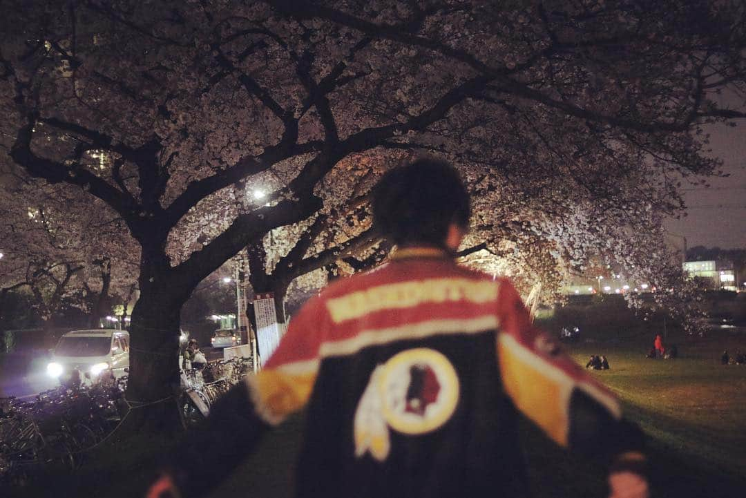 否メンディーさんのインスタグラム写真 - (否メンディーInstagram)「夜桜🌸」4月1日 17時29分 - inamendy