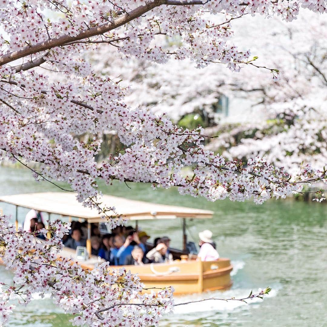 JALのグルメインスタ