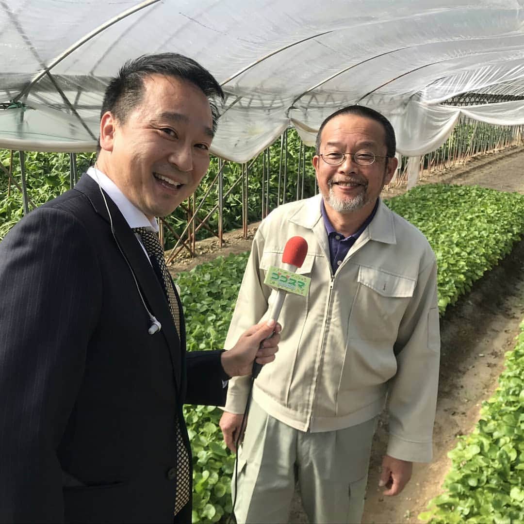 CBCテレビ アナウンス部さんのインスタグラム写真 - (CBCテレビ アナウンス部Instagram)「新元号発表！ゴゴスマの生中継で、三ケ日町のメロン農家、名倉『令和』さんに出逢った宮部アナ。読みはノリカズさんですが、生産者の令和ブランドのフルーツ、食べた〜い。 #新元号  #令和  #三ヶ日メロン #ゴゴスマ  #生中継  #宮部アナ」4月1日 17時48分 - cbc.announcer