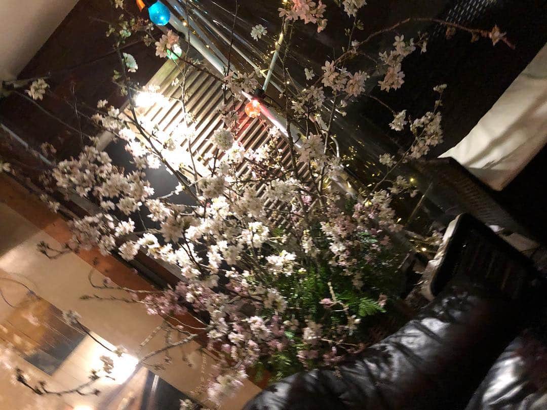 中川愛海さんのインスタグラム写真 - (中川愛海Instagram)「くるり&gRay&AUUNのお花🌸バーベキューをくるりで開催！和気あいあい楽しみました！仲良し恵比寿会♡ 女子わいわい！ @ami_nakagawa_  #中川愛海 #お花見 #桜 #青山フラワーマーケット #aoyamaflowermarket #bbq」4月1日 17時57分 - ami_nakagawa_