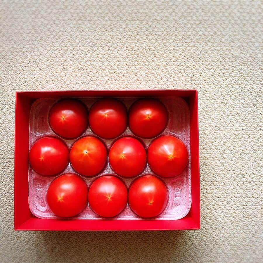 中山忍さんのインスタグラム写真 - (中山忍Instagram)「古賀とまと農園さん🎁 CRYSTAL RED🍅 ハッとする鮮やかな赤！ 滑らかなビロードのような手触り！みずみずしくて ハリのある皮がおいしくてぺろりでした😋 ごちそうさまでした〜❣️ @kogatomato #佐賀 #旅サラダ でお邪魔しました！」4月1日 17時49分 - _shinobu_nakayama_