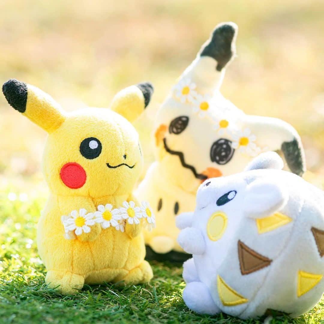 ピカチュウ公式Instagramのインスタグラム