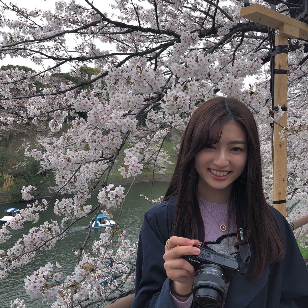 吉川愛さんのインスタグラム写真 - (吉川愛Instagram)「☺︎ お花見してきた〜 やっぱ綺麗だった。 ママが沢山写真撮ってくれた いい写真ばかり。🌸 スズメがね桜をちぎって落としてた笑 ひらひら落ちてきた桜をキャッチして くわえたわ。 . トップスは coach×selenaのトップス🐇 #selenax coach」4月1日 18時03分 - ai_yoshikawa_official