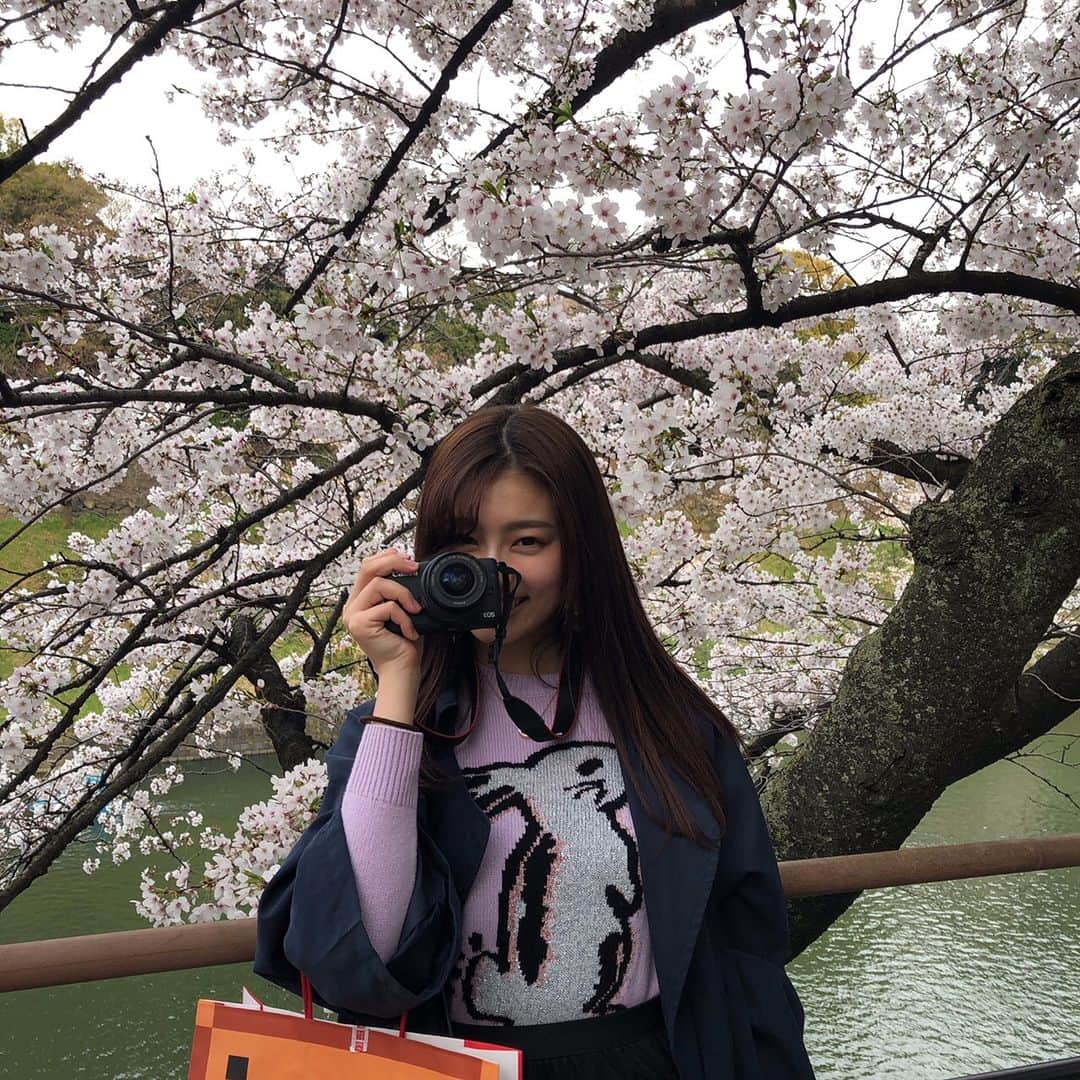 吉川愛さんのインスタグラム写真 - (吉川愛Instagram)「☺︎ お花見してきた〜 やっぱ綺麗だった。 ママが沢山写真撮ってくれた いい写真ばかり。🌸 スズメがね桜をちぎって落としてた笑 ひらひら落ちてきた桜をキャッチして くわえたわ。 . トップスは coach×selenaのトップス🐇 #selenax coach」4月1日 18時03分 - ai_yoshikawa_official