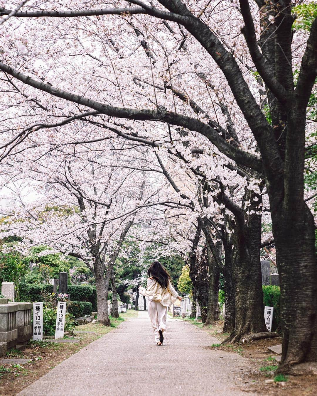 シェイ・ミッチェルさんのインスタグラム写真 - (シェイ・ミッチェルInstagram)「Cherry Blossom season can now officially be checked off my bucket list! Have you guys been?!🌸📸 @hirozzzz」4月1日 18時06分 - shaymitchell