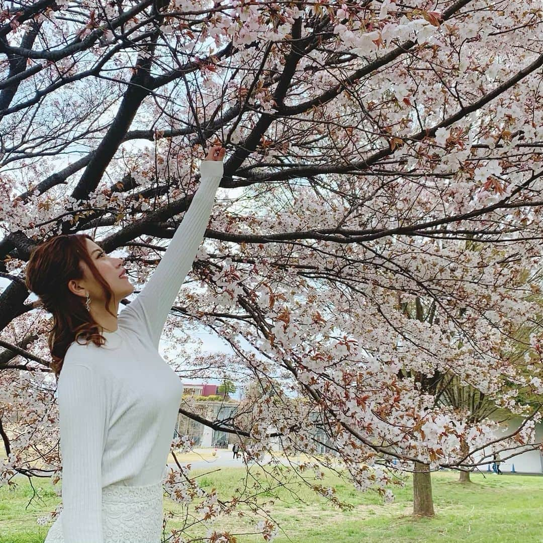 きらめく星のなったんのインスタグラム