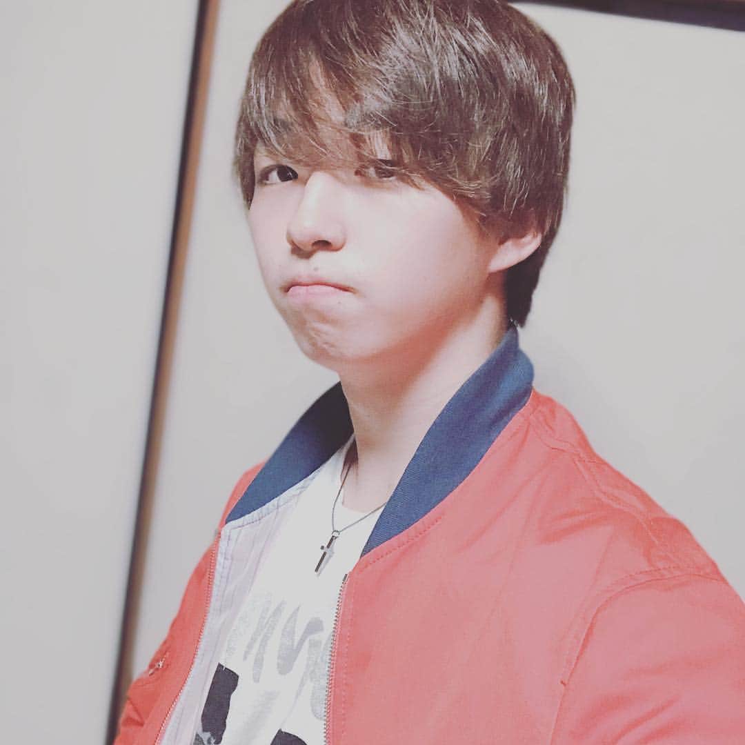 ハヤテのインスタグラム