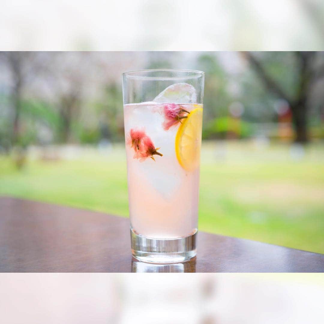 グランドプリンスホテル新高輪のグルメインスタ