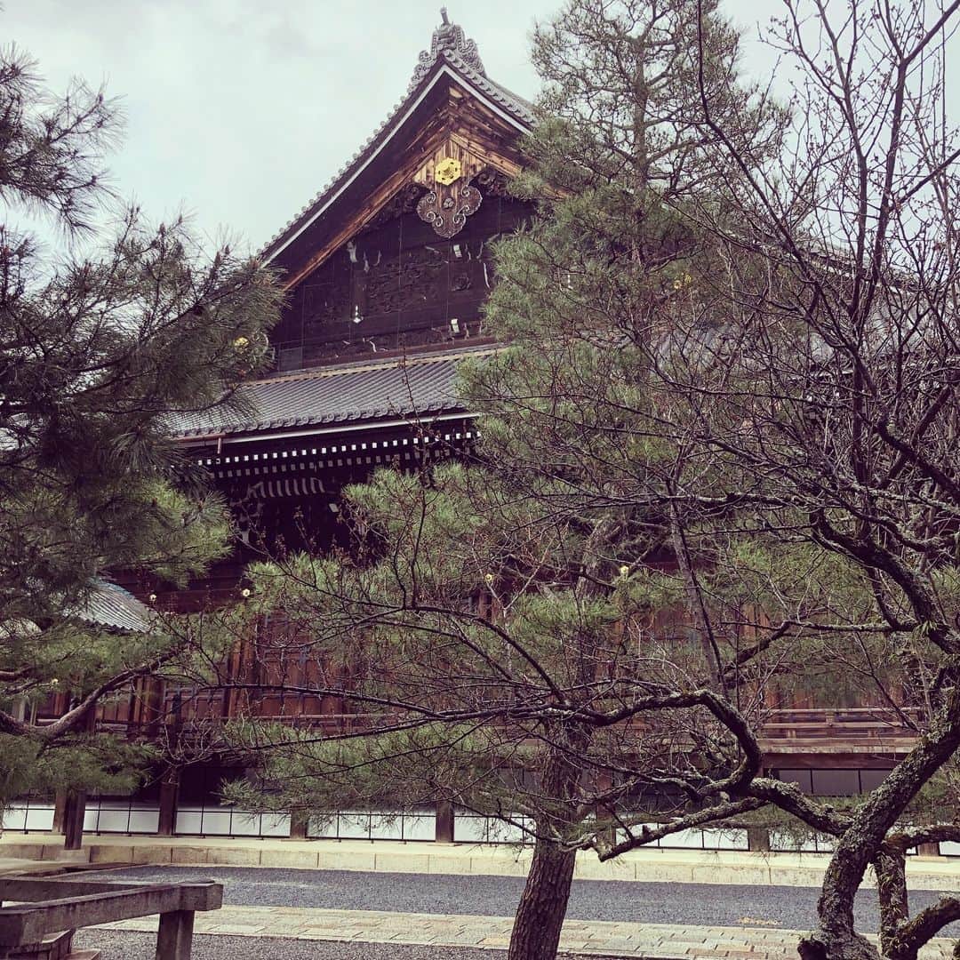 武藤昭平さんのインスタグラム写真 - (武藤昭平Instagram)「京都、浄土宗総本山知恩院に昨日までのライブ成功御礼参り。名古屋得三に京都磔磔は武藤的二日間。計3Daysライブありがとうございました。各会場の皆さんからの声援を肥しにこれからも精進します！#浄土宗 #jodoshu #知恩院 #御朱印 #法然上人 #temple」4月1日 18時19分 - syoheimuto