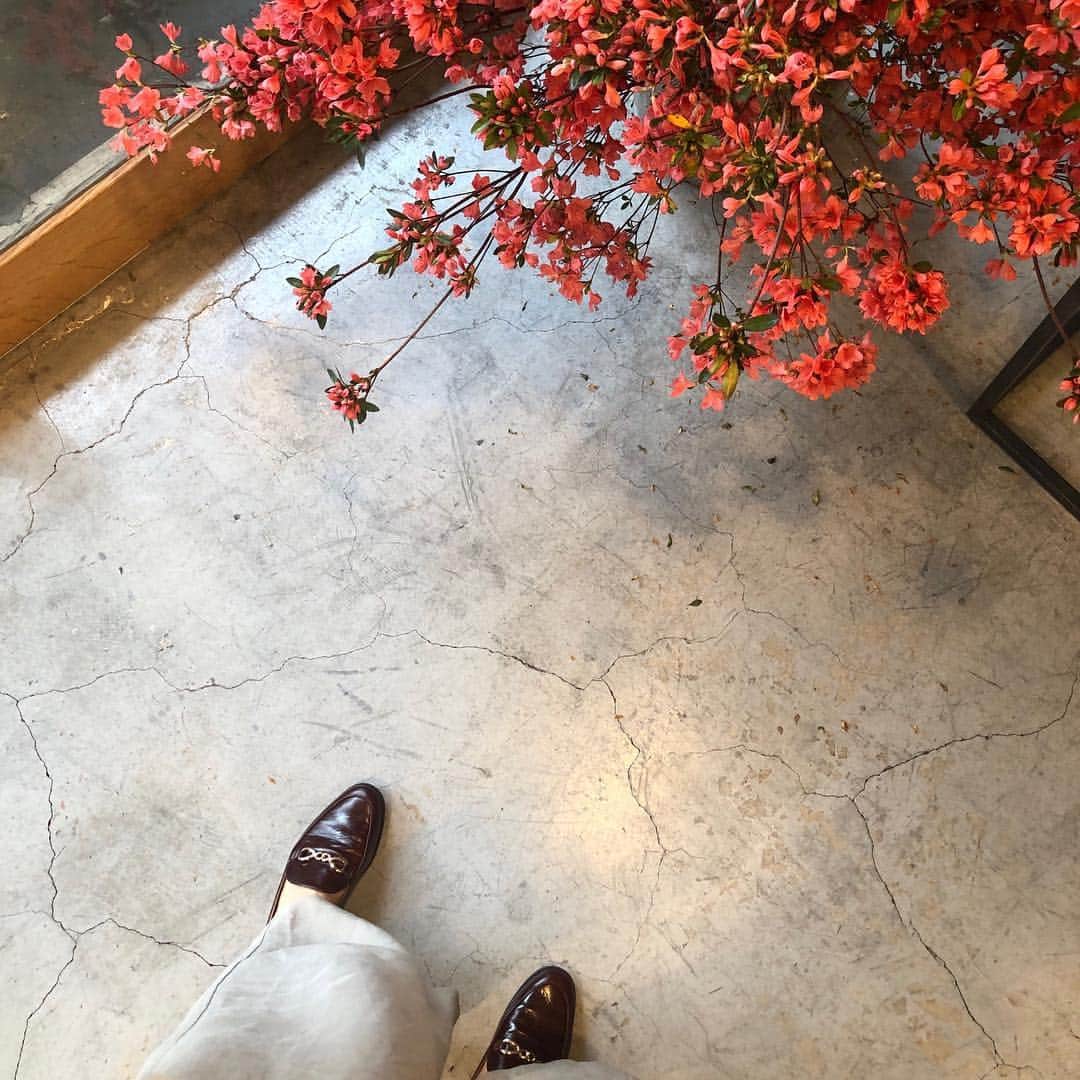 中山由香さんのインスタグラム写真 - (中山由香Instagram)「・ ・ brown  beige off whiteにivory 4月は好きな色多し。 新しい年が始まるね🌸 ・ ・ #spling#shoes  #レザーローファー#zara  凄く使える#item #平成 生まれ 4月1日 #令和 🇯🇵」4月1日 18時26分 - yuka_nakayama118