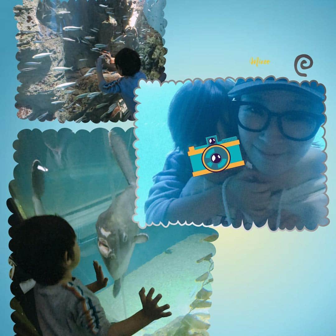 愛内里菜のインスタグラム：「息子の希望で﻿❤️ ﻿ 天保山マーケットプレイスへ！﻿ ﻿ レゴと海遊館の﻿ 両方が楽しめて、﻿ 息子が最高に楽しめる場所👍✨﻿ ﻿ 春休みもあとわずかだね‼️😊﻿ ﻿ #春休み #春休みデート﻿ #息子4歳 #息子ラブ #息子とデート﻿ #4歳男の子﻿ #海遊館﻿ #水族館﻿ #@kaiyukan_japan﻿ #レゴランド大阪﻿ #@ldcosaka﻿ #愛内里菜 #垣内りか #R﻿ ﻿ ﻿」