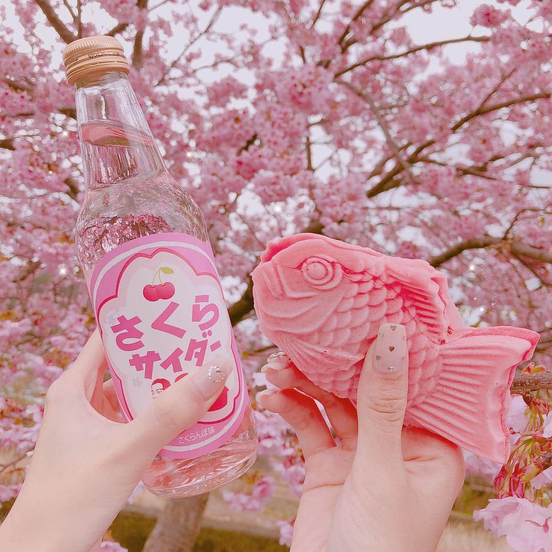 さきぼんさんのインスタグラム写真 - (さきぼんInstagram)「河津桜まつりに行ってきたときの🌸 去年行けなかったから今年行けて嬉しい♡ 桜色のたいやきかわいくておいしかったし！ サイダーはさくらんぼ味🍒 . 東京も満開だね！中目黒２回も行っちゃった( ˙꒳˙ ) . . #河津桜  #桜 #sakura #さくら #河津桜まつり #花見 #たい焼き #花のある暮らし #🌸 #静岡 #旅行 #trip #旅 #女子旅 #日帰り #旅行気分 #travellers #jalan_travel #女子旅部 #写真好き #girlstrip #お花見 #cherryblossom #春 #spring #インスタ映え #タビジョ #河津桜祭り #桜並木 #さきぼんスプリング🌸」4月1日 18時51分 - sakibon69