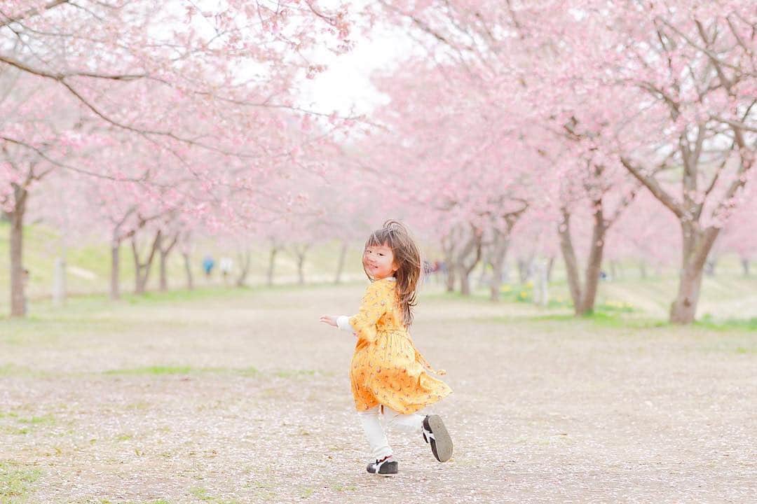のインスタグラム：「平成最後の1ヶ月も、よろしくお願いします😊 現在、「春」をテーマにお写真・動画を募集中です✨ 本日の #タビスルキッズ はこちら💕 📷 @eeeenoo さん 🚩 埼玉県・「北浅羽桜堤公園」 🎙ご本人コメント 今年も来たよ🌸 終わりかけにw . また来年会おう🌸 ＊＊＊＊＊＊ こちらは、約200本の桜並木のある公園ですね✨ いつも、かわいいお写真ありがとうございます💕」