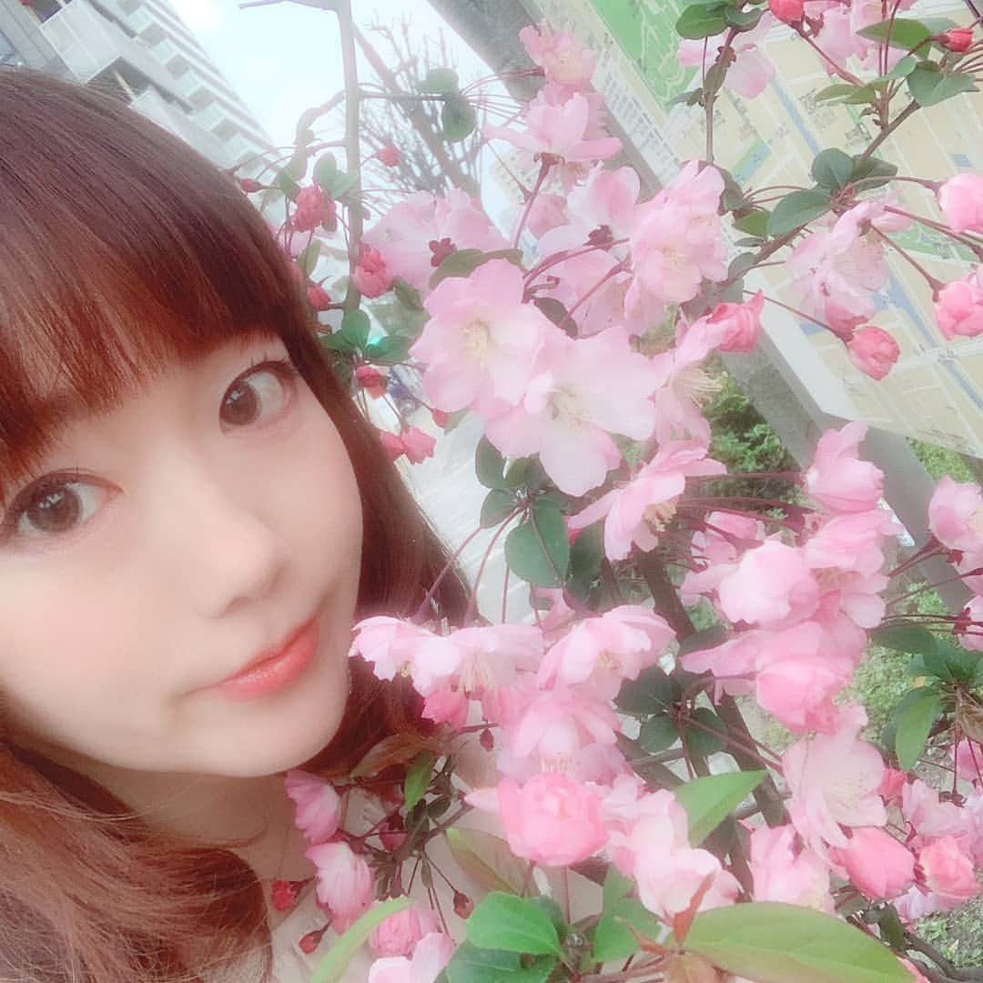 松本都さんのインスタグラム写真 - (松本都Instagram)「#桜 #さくら #さくら🌸 #自撮り #selfie #cherryblossom #今日から４月」4月1日 18時55分 - matsumoto_miyako