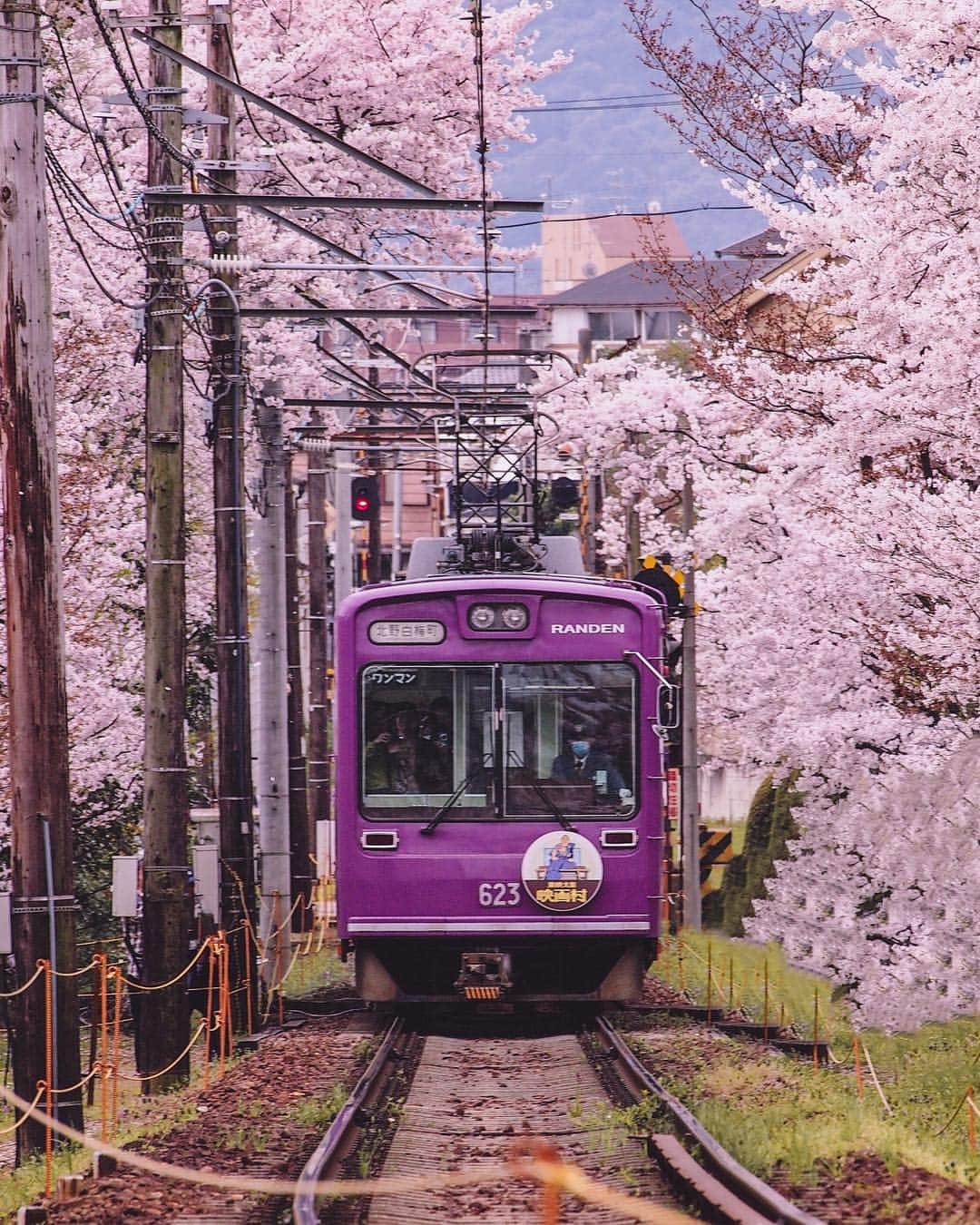 RIKUYAのインスタグラム：「🌸 ㅤ 今日から5月1日に向けて、令和の0話がはじまります -Shimeji🍄引用 ㅤ 改めまして、今日から4月 またよろしくお願いします🤲 ㅤ #平成 #から #令和 #へ #Rの時代 #桜 #の #トンネル #電車 #撮り鉄 #電車男 #花見 #関西 #は #開花遅め #屋台 #では #イカ焼き推し #Canon #ig_Japan #jp_gallery #jalan_travel #icu_japan #special_spot_  #bestjapanpics #ig_photosentez #bestphoto_japan #jp_gallery_member #super_japan_channel」