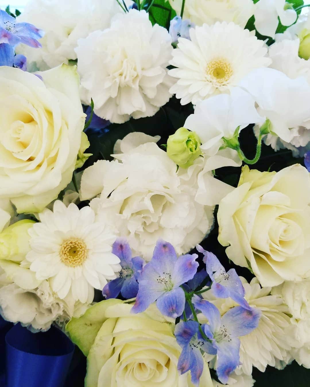 ホテルモントレ大阪 ブライダルサロンさんのインスタグラム写真 - (ホテルモントレ大阪 ブライダルサロンInstagram)「先日ご用意させていただいた装花です。白色ベースに水色のお花が入っていて、ネイビーのリボンがアクセントになっています。テーブルクロスとの相性もバッチリです！#白#水色#ネイビー#バラ#ガーベラ#デルフィニウム#クリスタル#リボン#シンデレラ#ガラスの靴#モントレ大阪#梅田#プレ花嫁#大阪#ウェディング#アンティーク#ホテル#モントレ#wedding」4月1日 19時21分 - monterey_osaka
