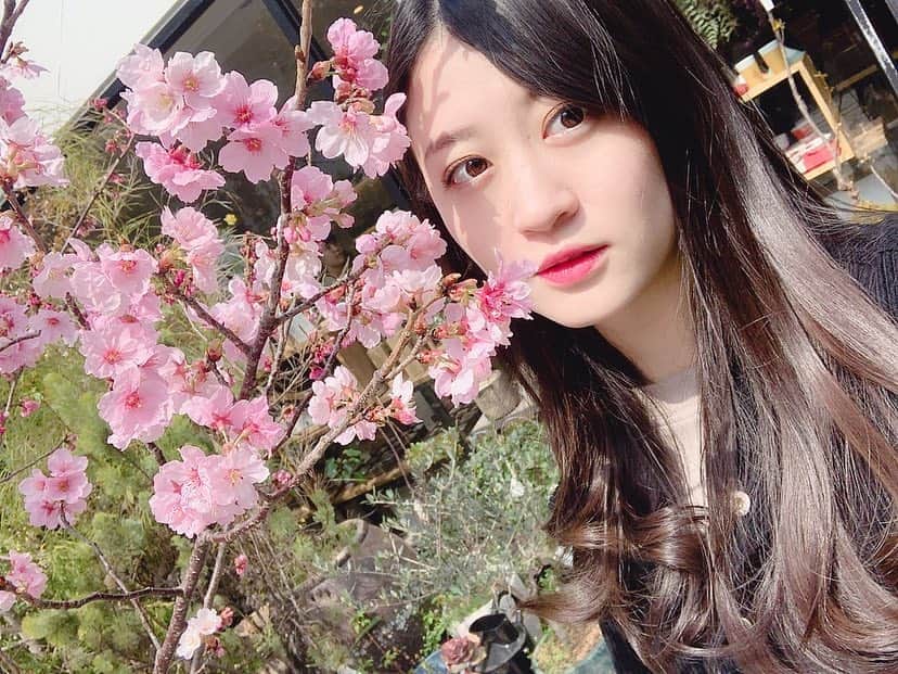 上西恵さんのインスタグラム写真 - (上西恵Instagram)「令和！本当に素敵！ 5月から楽しみですね😊 ⠀ 妹も ⠀ "れい" ⠀ で、5月生まれで、なんだか嬉しい😊 ⠀ 漢字は"怜"だけど"令"入っているしね☺️ ⠀ 平成最後まで楽しみましょう！ #桜 #新元号 #令和 #平成 #お花」4月1日 19時22分 - jonishi_kei