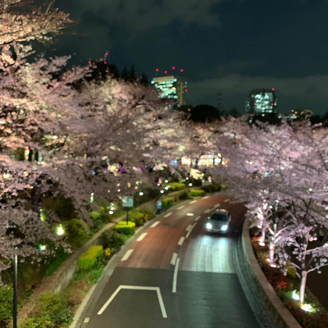 黒田アーサーさんのインスタグラム写真 - (黒田アーサーInstagram)「ミッドタウンの夜桜🌸綺麗でした❤️#夜桜 #ミッドタウン」4月2日 0時49分 - kuroda_arthur