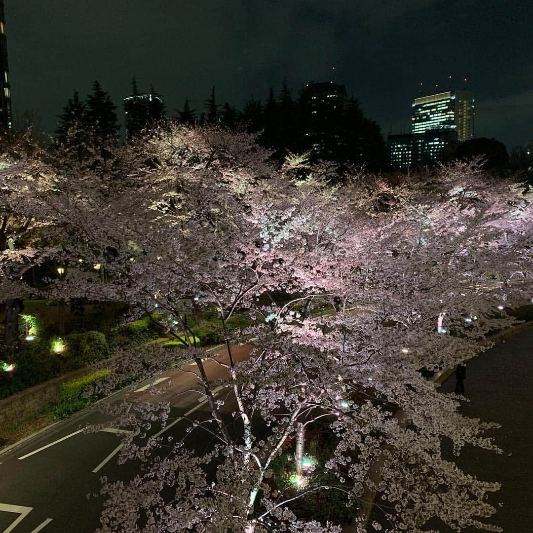 黒田アーサーさんのインスタグラム写真 - (黒田アーサーInstagram)「ミッドタウンの夜桜🌸綺麗でした❤️#夜桜 #ミッドタウン」4月2日 0時49分 - kuroda_arthur