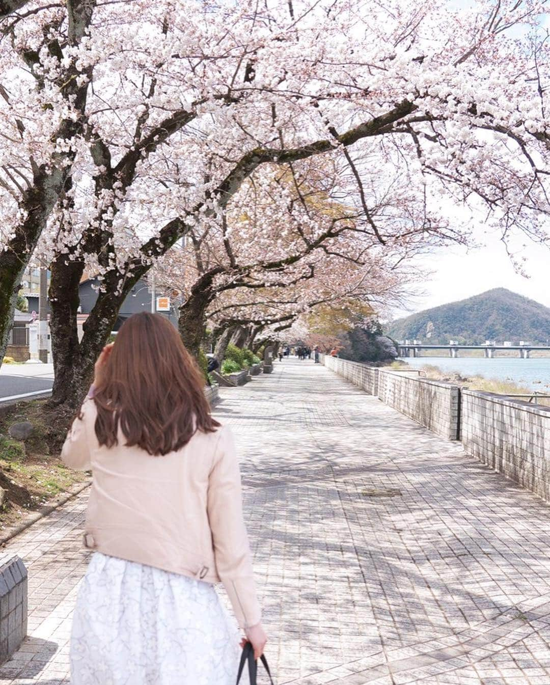 青山智美さんのインスタグラム写真 - (青山智美Instagram)「#🌸 #sakura #さくら #サクラ #桜 #spring #春 #いい季節 です #大好きな季節 🌸🌸🌸🌸🌸 #綺麗 #日本 #japan #時期 #season #今年も #感謝 #ありがとう #新元号発表の日 #令和 #20190401 日またがっちゃったけど！ #新年度 #なにか産み出す」4月2日 0時53分 - tomomibeauty