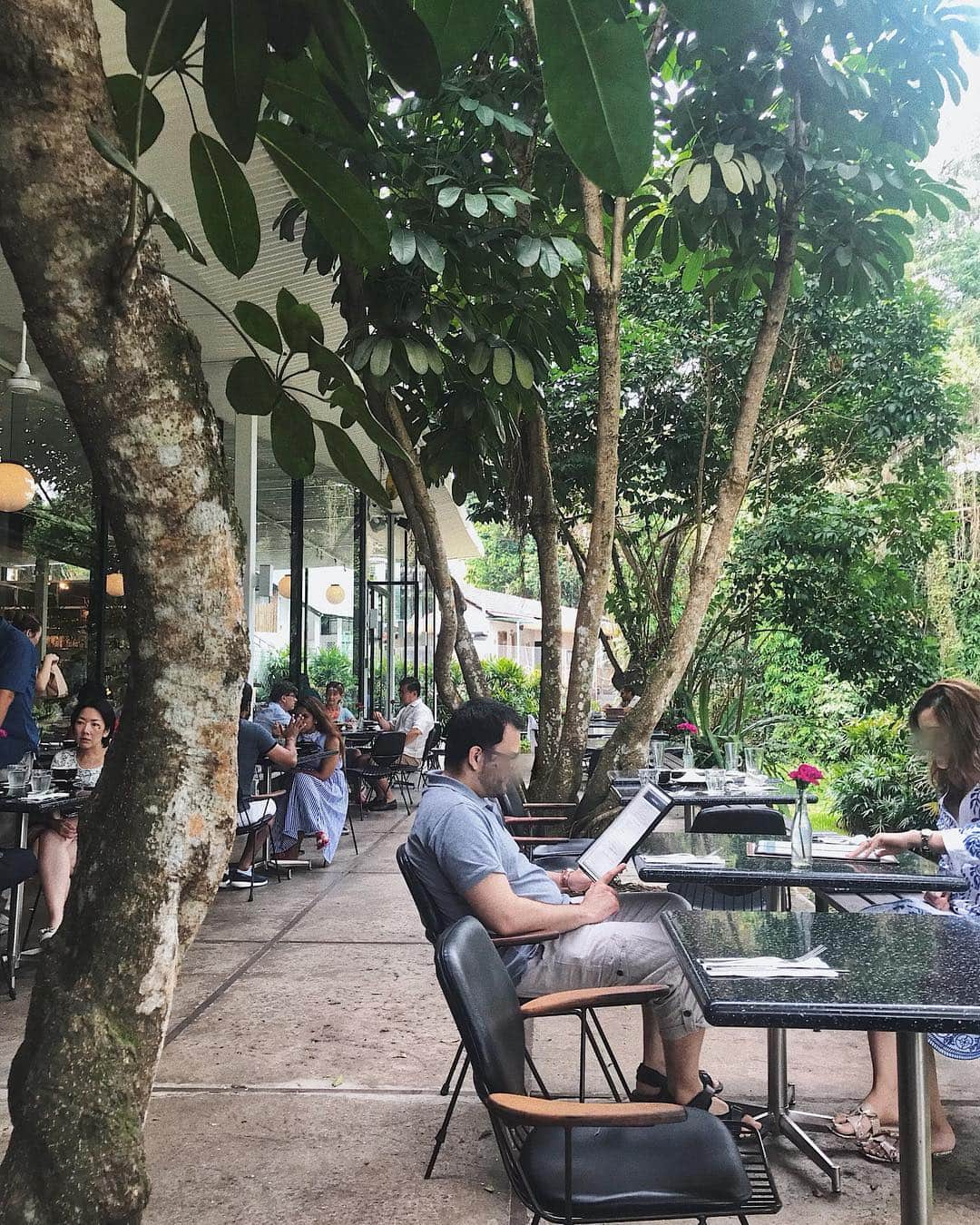 Marumiのインスタグラム：「. ここシンガポールじゃないみたい🌳🍃 . #pscafe #pscafeharding」