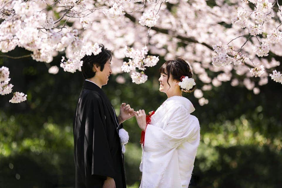 スタジオアクア新宿店さんのインスタグラム写真 - (スタジオアクア新宿店Instagram)「. 本日の清澄庭園の桜🌸 . Photographer：新本 宜宏 @shinmoto_studio_aqua Hair and make up：石塚 美月 . #和装ロケーション #和装 #白無垢 #紋付袴 . #d_weddingphoto #decollte_wedding_photo_group #スタジオアクア #スタジオアクア新宿店 #studioaqua #ウェディングフォト #ブライダルフォト #フォトスタジオ #前撮り #後撮り #結婚写真 #和装前撮り #和装後撮り #ウェディング #ブライダル #プレ花嫁 #卒花嫁 #卒プレ花嫁 #結婚式準備 #関東花嫁 #2019春婚 #2019夏婚 #ヘアメイク #ブライダルヘア」4月1日 19時34分 - studioaqua.shinjuku