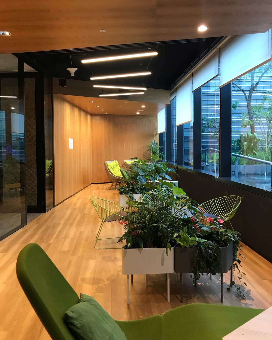ローレン・ヤングさんのインスタグラム写真 - (ローレン・ヤングInstagram)「Visited the Google Headquarters in Singapore today to visit my friend Yuuri who works here! I’m so amazed stepping into offices because I’ve never worked in corporate 😅 But if my office was this nice, had free food, coffee, a private salon AND sleeping quarters I might just consider changing careers. Pwede pa ba? Or late na? Hahahahaha! 🇸🇬〰️」4月1日 19時56分 - lo_young