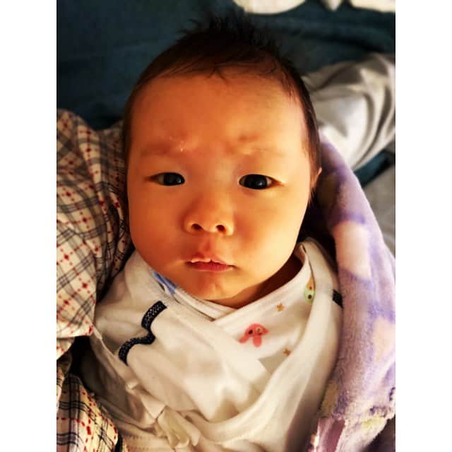 NON-Pさんのインスタグラム写真 - (NON-PInstagram)「見て、このお腹‼️ まだもう1人お腹の中に居る訳ではなく、 また妊娠した訳でもなく、 ただの肉です、デブですw これでも小さくなった方、もっとお腹出てました🐷w ・ 今日ゎ私の産後6週間健診で🏥 お腹の中も、帝王切開の傷も問題なく綺麗なので、入浴(浴槽に浸かる)と運動🆗👌 今までの生活していいですよーとの事✌️ なので、今週からリハビリダイエットポールを少しづつやってこーと思います😊🎶👠🌟 ・ 💃🏻妊娠前の体重▶️44㌔ ・ 🤰🏻出産直前▶️驚異の59㌔‼️ ➕15㌔‼️の増加し過ぎ💦 ・ 🤱🏻出産から約6週間後の今▶️48㌔‼️ ➖11㌔‼️ ・ 赤ちゃんの重さ約3㌔だったから、 胎盤▶️約0.5㌔ 羊水▶️約0.5㌔ って事で、出産すると自動的に約4㌔減る訳で、 … それ以外の、11➖4で、6週間で7㌔痩せたってこと⁉️ ・ 授乳で勝手に痩せるよ〜！ って言われてたけど、ホントに授乳だけで痩せるんだね‼️ 3食普通に食べて間食までしとるし、歩くのと家事しかしてないのに、ホントびっくり‼️ ・ 私ゎユウちゃんがいっぱいおっぱい飲んでくれるお陰で痩せてくけど、 ユウちゃんゎどんどんプクプクしてく👶🏻 日に日に重くなって、二重アゴが増してくw ・ 仕事で1週間ぶりに🏠帰って来た旦那さんが、 「え？！こんなに二重アゴだった？！友優心めちゃ太ったてるやん！！」 ってびっくりしたくらいwww ・ 今まで1度もダイエットってした事ないけど、この残りの4㌔分のぽっこりお腹のお肉をポールでなくしまーす😉🎶 ・ ・ #産後ダイエット やるかー‼️ #デブ #授乳ダイエット #授乳 #ポールダンス #poledance #ポールダンサー #poledancer #nonp #polish #👶🏻 #baby #boy #友優心 #ゆうしん #yuushin #cute #🤱🏻 #家族 #papa #mama #宝物 #mylove」4月1日 20時08分 - nonp_mam