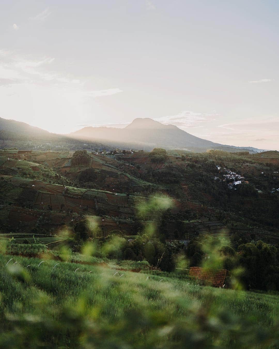 Putri Anindyaさんのインスタグラム写真 - (Putri AnindyaInstagram)「Morning elegance // So, this place is still my favorite to enjoy the sunrise in Bandung. The name is Caringin Tilu. Caringin is actually the name of a tree and Tilu means three. The local said there was three caringin tree around here. So that’s how they named this place. the mountain there is Manglayang, a mountain that very close with my campus, Padjadjaran University in Jatinangor, Sumedang. And yes, this picture is quite personal to me :) . . . Taken with @sonyalpha_id A7iii 35mm 1.4 #sonyalpha_id」4月1日 20時01分 - puanindya