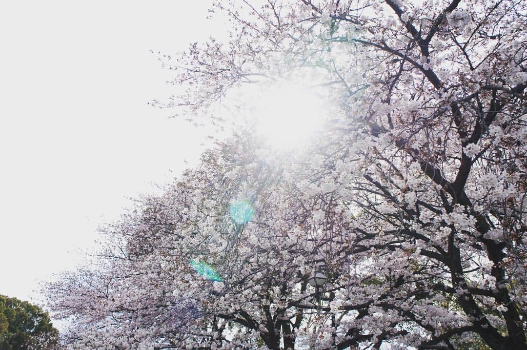 藤田朋生さんのインスタグラム写真 - (藤田朋生Instagram)「エイプリルフールだし令和だし朝帰りだったし、俺も行ってきたよー！  癒されるね( ˊ̱˂˃ˋ̱ )」4月1日 20時05分 - fujitatomoo