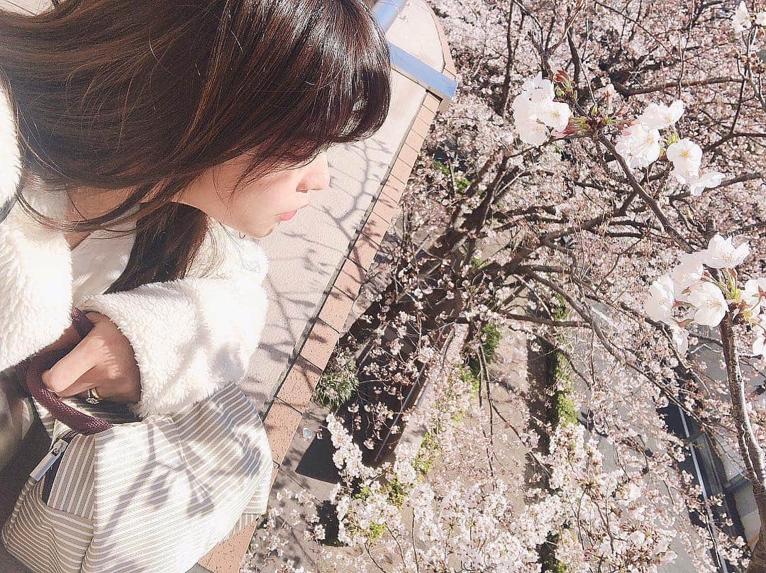 酒匂彩名さんのインスタグラム写真 - (酒匂彩名Instagram)「: 4月だね🌸 新元号は「令和」 産まれてくるお腹の子は令和元年かぁ〜〜。 良い時代になるといいなぁ…。 近所の桜はまだ7〜8部咲き✨ 今週いっぱいまで楽しめそう☺️ : #おかげでエイプリルフール感なかった #４月 #４月１日 #卯月 #新年度 #令和 #令和元年  #REIWA って書くとファンタジー感ある 笑 #新元号 #元号 #平成令和 #元年  #桜 #綺麗 #お花見 #sakura #swag #april」4月1日 20時17分 - ayanasakoh