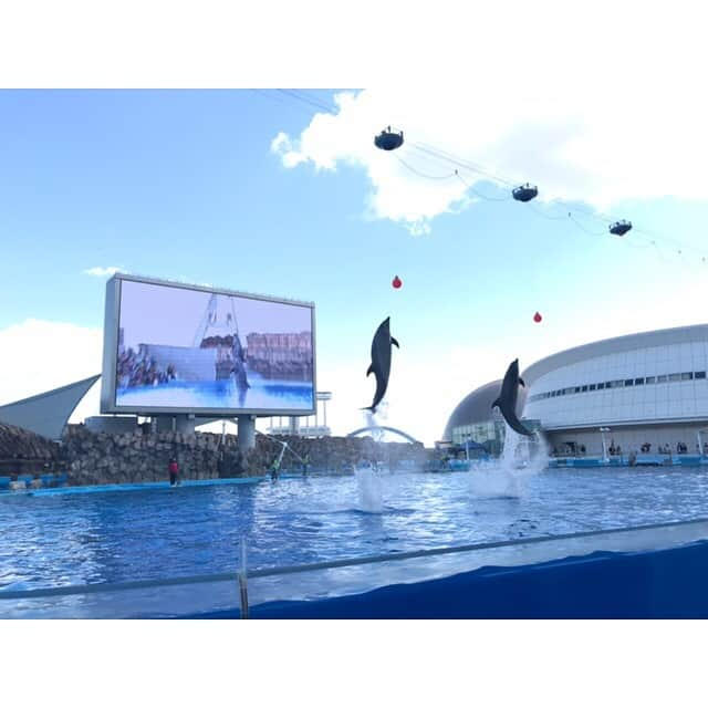 minminmaaaさんのインスタグラム写真 - (minminmaaaInstagram)「・ ・ 今日は息子と水族館デート🐬💕 ・ ・ 水族館のあとはカフェ行ったり、 買い物に付き合ってくれてアドバイスしてくれたり、 まさに小さい彼氏👦🏻💓 ・ ・ いっしょに出かけてくれる間にたくさん色んなところ行きたいな🥰 ・ ・ ・ スワイプ▷▷▷ スキニーにはやっぱり  #マジカルシェリー @majicalsherry_lme ✨ ・ ・ お尻も上がるし手放せません🙌💦 ・ ・ ・ ・ #ママコーデ #ママファッション #プチプラコーデ#シンプルコーデ#コーディネート#着回しコーデ #大人カジュアル#お洒落さんと繋がりたい #ponte_fashion #locari #mamagirl  #uniqlo#gu#gumania #ザラ#ザラジョ #gu_for_all #ユニクロ#apc#plage #水族館#春コーデ」4月1日 20時17分 - minminmaaa