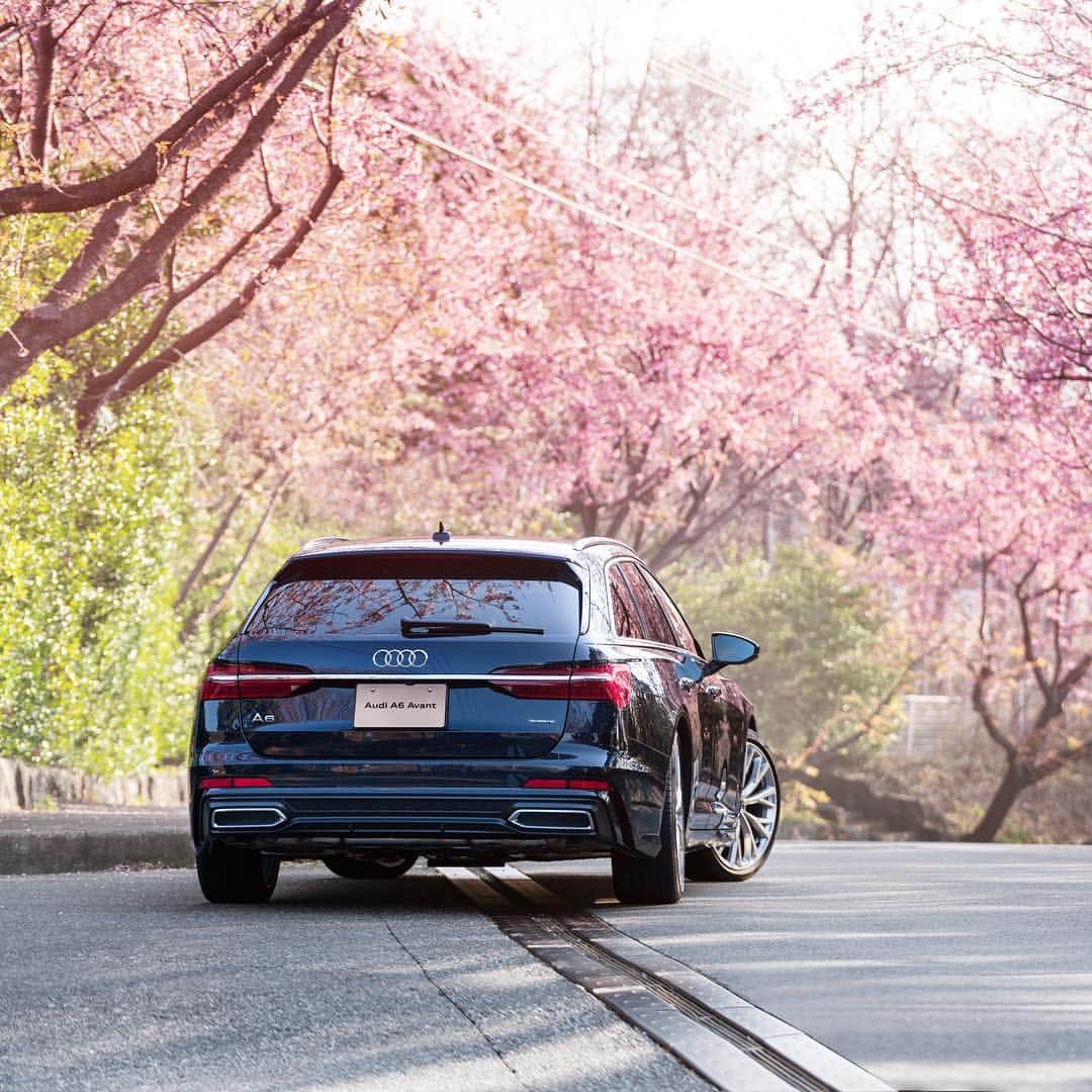 アウディ ジャパンさんのインスタグラム写真 - (アウディ ジャパンInstagram)「春の訪れとともにやってきた、新しいAudi A6 Avant。 暖かな風に誘われて、初めてのドライブはピンク色に染まる桜並木へ。  #Audi #A6 #AudiA6 #Audijapan #桜 #sakura #ドライブ #伊豆　#MomentswithAudi #Audigramm #carporn」4月1日 20時29分 - audijapan