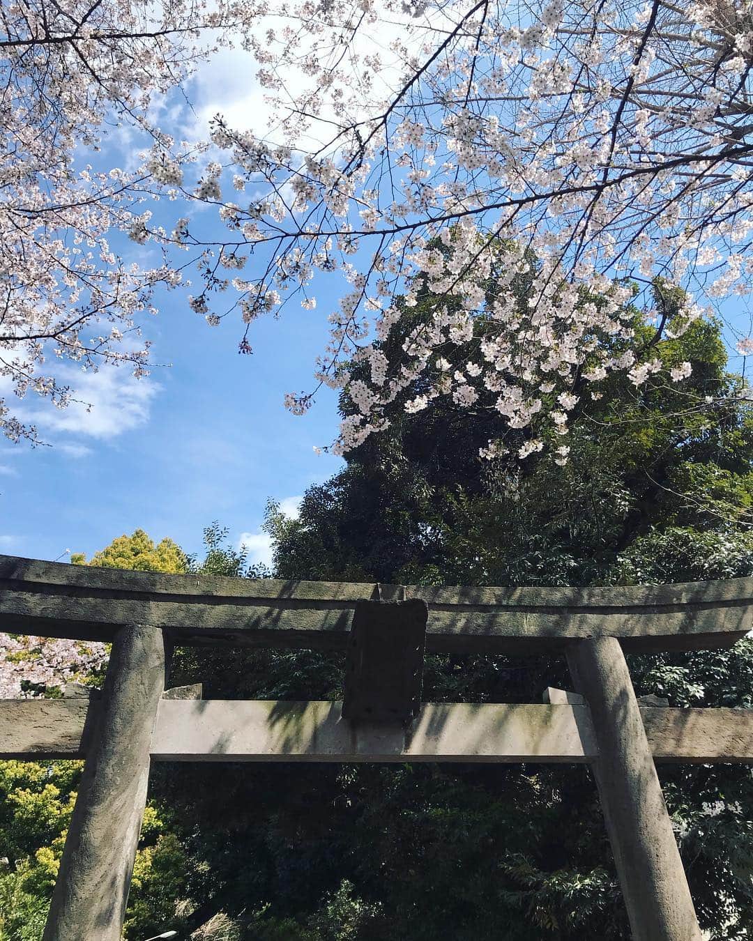 川田希さんのインスタグラム写真 - (川田希Instagram)「気持ちのいい朝。 氏神様へお朔日参り。 新元号も発表されて何だか気持ちがシャンとしますね。」4月1日 20時31分 - nozomikawata