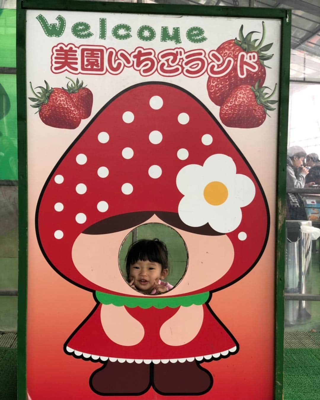 吉村真晴さんのインスタグラム写真 - (吉村真晴Instagram)「日本に帰ってきてから 家族でリフレッシュできました(^^) ゆなちゃんはたくさん話すようになって毎日が楽しそう！笑 奥さんとも久々にゆっくりできて良かったな😊  それにしてもイチゴはたくさん食べてるし、いつの間にかパパじゃなくて真晴とも呼び始めててビックリしたよ😂 最近はかくれんぼが好きなのか、すぐに服に入ってきます！ もう1回するもお得意です😅」4月1日 20時36分 - 0803_maharu