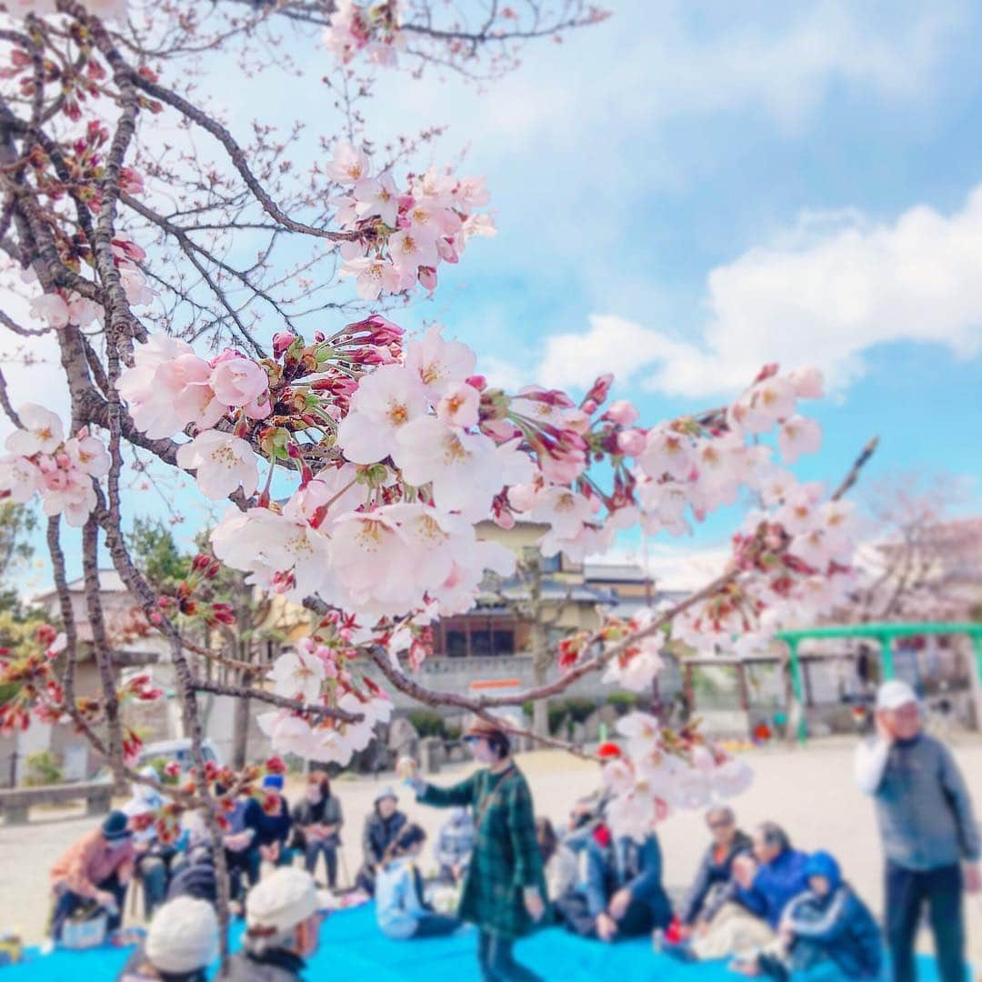 山崎春佳さんのインスタグラム写真 - (山崎春佳Instagram)「🌸🍵 . 今日は父と姉と三重地区のお花見に参加させて頂きました☺️ みなさんと新元号のお知らせを聞きながら書き初めを。 わたしが書きました✨ …いやいや、エイプリルフールの冗談です。わたしはこんなに上手くなんて書けないです🤣 . そんな事はさておき… ほぼ突然参加のような形であったのにも関わらず、 みなさんとってもあたたかくお迎えくださって嬉しかったです🙏🏻✨ ありがとうございました！ 頑張れ！応援してるよ！というお言葉がチーム山崎ひろしの力になります😭🙏🏻 . #me #today #cherryblossom #pretty #pink #sakura #reiwa #令和 #新元号 #お花見 #桜 #公園 #春 #書き初め」4月1日 20時51分 - haruka_yamazaki