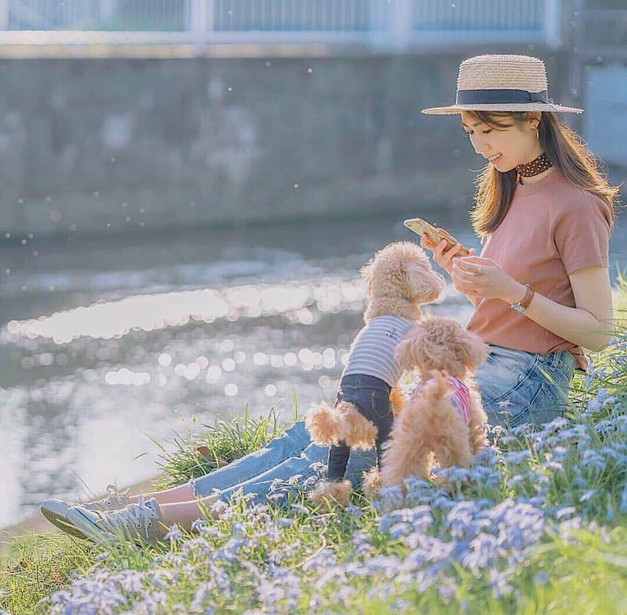 mikicoco00のインスタグラム：「* * 4月はじまり☺︎❁ * ドットスカ－フ！ブラウンで可愛い👏 Tシャツは#uniqlou #クルーネックt * おそろいhat👒 なんか笑ってしまう笑 そのままベンチに帽子忘れてしまった－😱 * 今月も宜しくお願いします🤗 * * * #休日#Tシャツ#春#Spring#happy#あんめる#dog #uniqlo#todayful #uniqloコーデ#denim#ポートレート#portrait#cherryblossom」