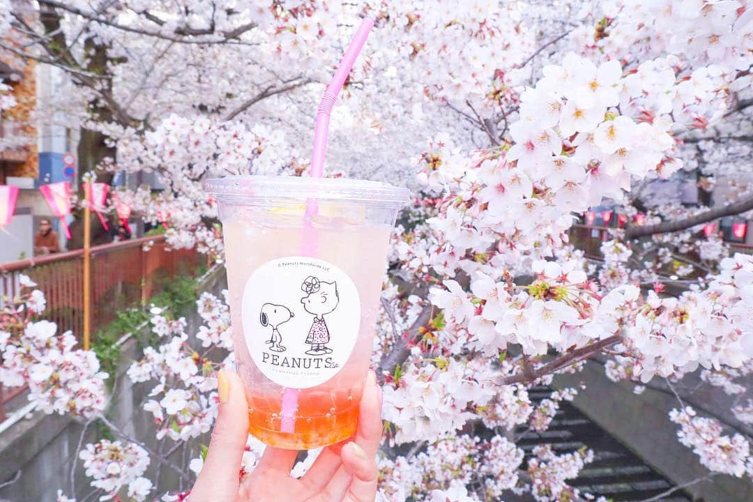 三井菜那のグルメインスタ