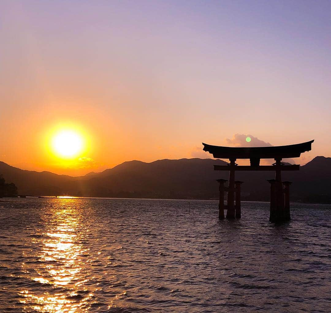 山口夏実さんのインスタグラム写真 - (山口夏実Instagram)「今年も広島の厳島神社🦌🌸 鹿と桜のコラボレーションが見たかった🥰可愛すぎる〜😭😭😭 夕日もすっごく綺麗だった🥺🙏 今日は宮島に泊まって明日は牡蠣をたくさん食べるんだ🌸🥺 ＊ ＊ #宮島 #厳島神社 #鹿 #広島 #広島旅行 #日本 #miyajima #hiroshima #旅行 #みぃちゃんの笑い声😂」4月1日 21時02分 - natsumi19910625