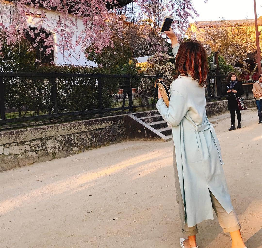 山口夏実さんのインスタグラム写真 - (山口夏実Instagram)「今年も広島の厳島神社🦌🌸 鹿と桜のコラボレーションが見たかった🥰可愛すぎる〜😭😭😭 夕日もすっごく綺麗だった🥺🙏 今日は宮島に泊まって明日は牡蠣をたくさん食べるんだ🌸🥺 ＊ ＊ #宮島 #厳島神社 #鹿 #広島 #広島旅行 #日本 #miyajima #hiroshima #旅行 #みぃちゃんの笑い声😂」4月1日 21時02分 - natsumi19910625