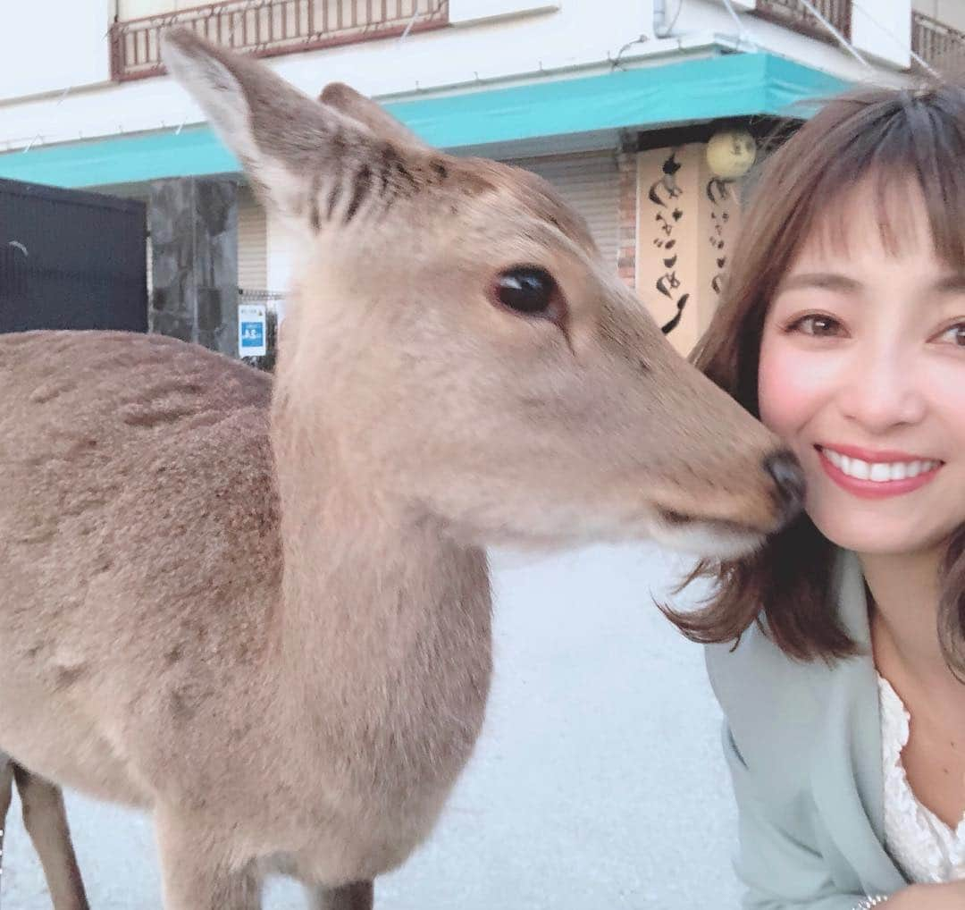 山口夏実さんのインスタグラム写真 - (山口夏実Instagram)「今年も広島の厳島神社🦌🌸 鹿と桜のコラボレーションが見たかった🥰可愛すぎる〜😭😭😭 夕日もすっごく綺麗だった🥺🙏 今日は宮島に泊まって明日は牡蠣をたくさん食べるんだ🌸🥺 ＊ ＊ #宮島 #厳島神社 #鹿 #広島 #広島旅行 #日本 #miyajima #hiroshima #旅行 #みぃちゃんの笑い声😂」4月1日 21時02分 - natsumi19910625