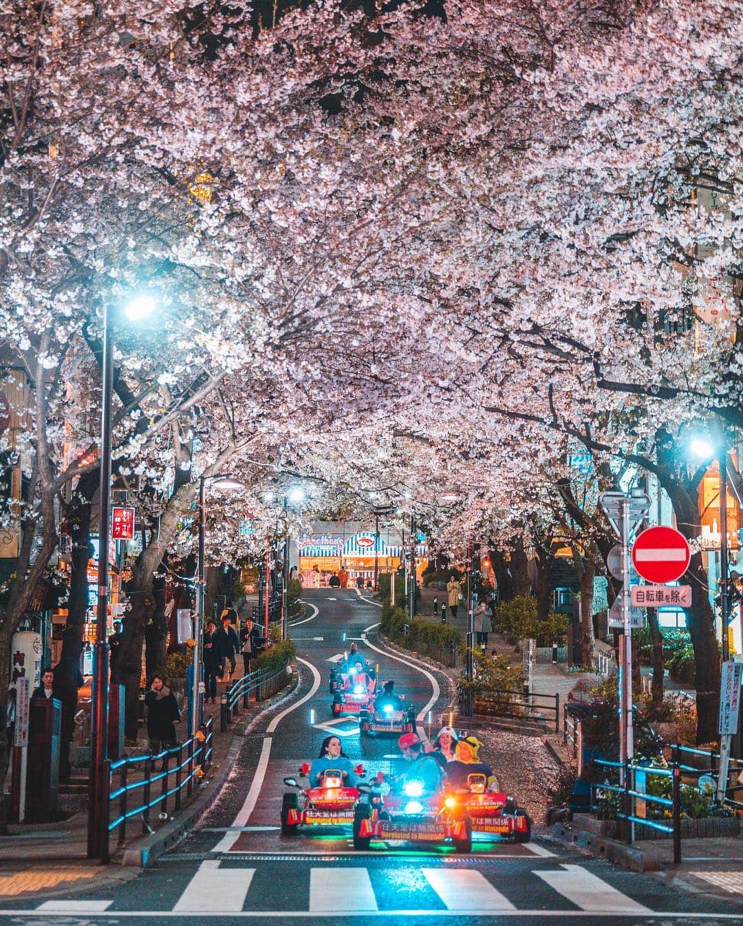 樂さんのインスタグラム写真 - (樂Instagram)「日本涉谷櫻花小道  #Shibuya #Tokyo #Sakura 很幸運的遇到卡丁車，拍起來超可愛🤣🌸 這張是日本系列第一張櫻花照🥰」4月1日 21時05分 - ygt1016